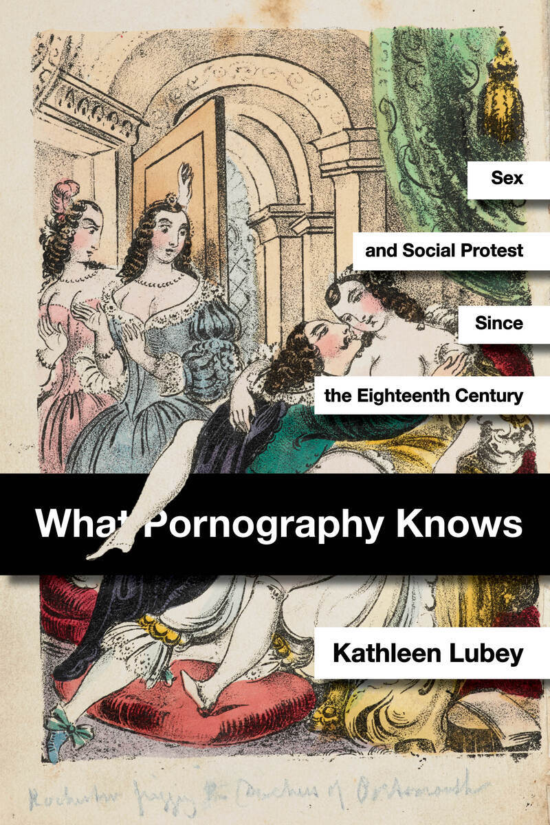 What Pornography Knows Sex and Social Protest since the Eig...
