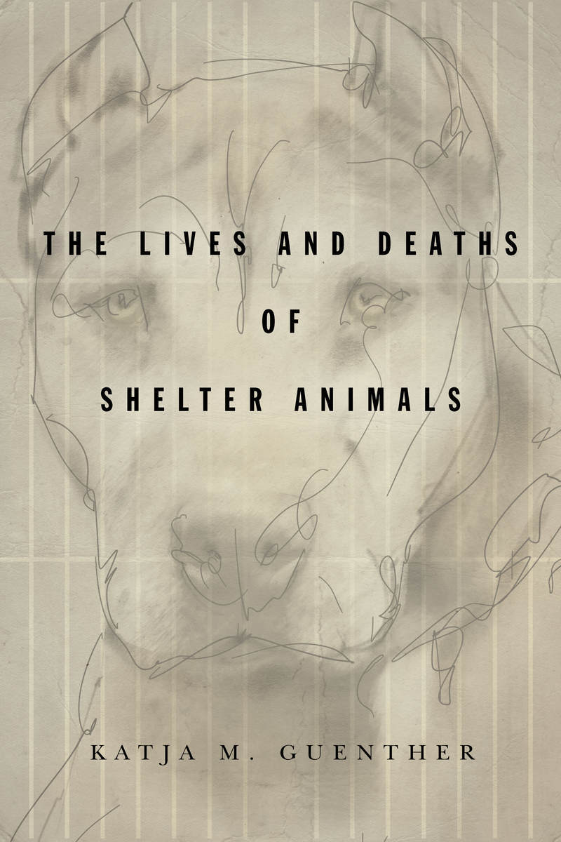 The Lives and Deaths of Shelter Animals - Katja M. Guenther