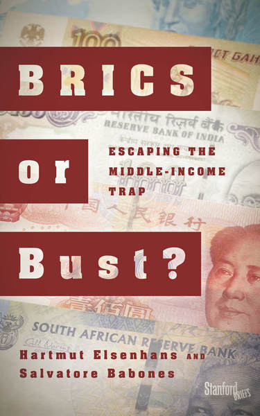 Cover of BRICS or Bust? by Hartmut Elsenhans and Salvatore Babones