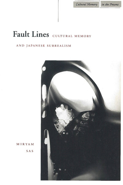 Cover of Fault Lines by Miryam Sas