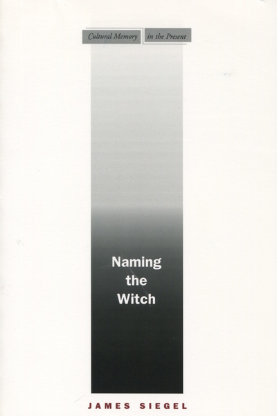 Cover of Naming the Witch by James Siegel