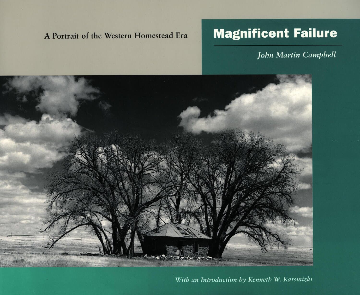 'Magnificent Failure' Book Cover