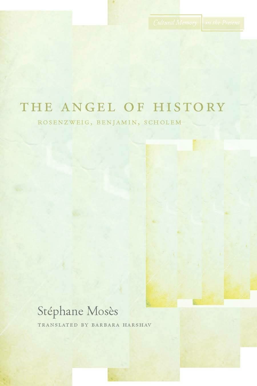 'The Angel of History' Book Cover
