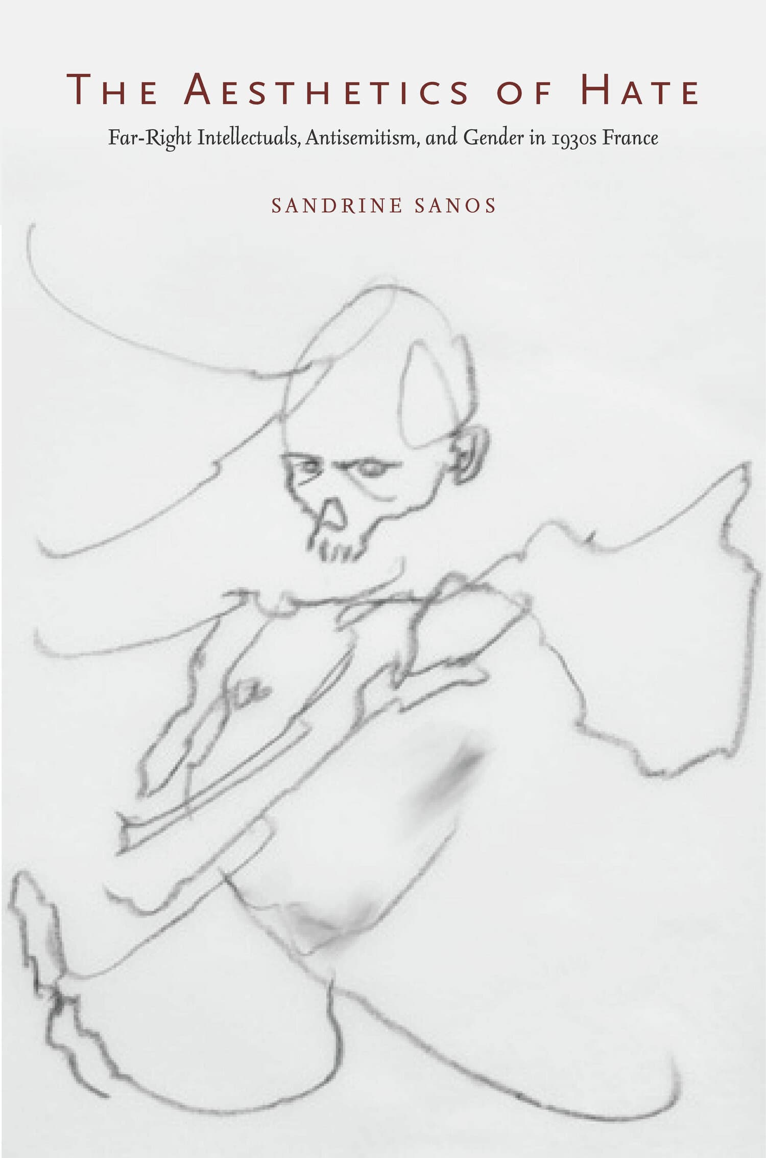 'The Aesthetics of Hate' Book Cover