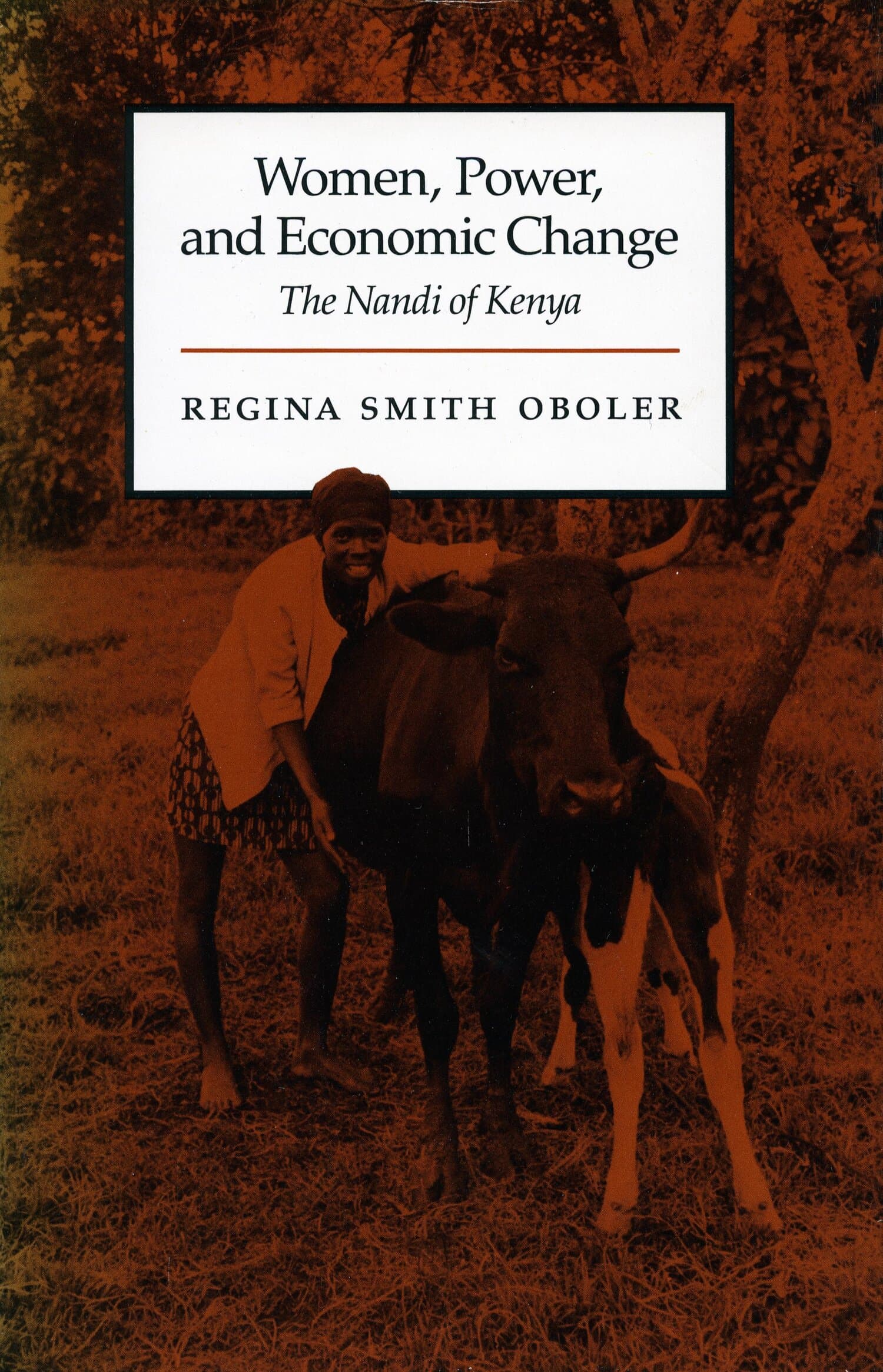 'Women, Power, and Economic Change' Book Cover