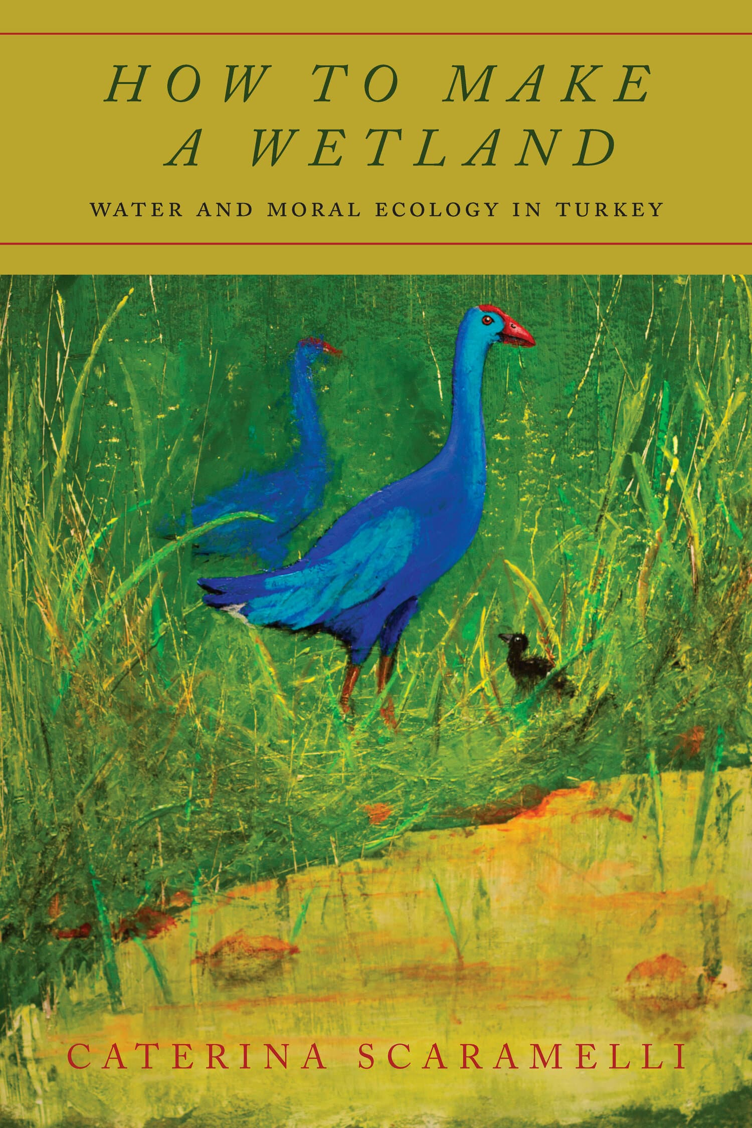 'How to Make a Wetland' Book Cover