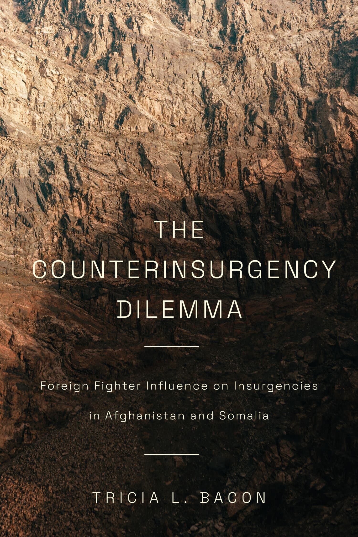 'The Counterinsurgency Dilemma' Book Cover