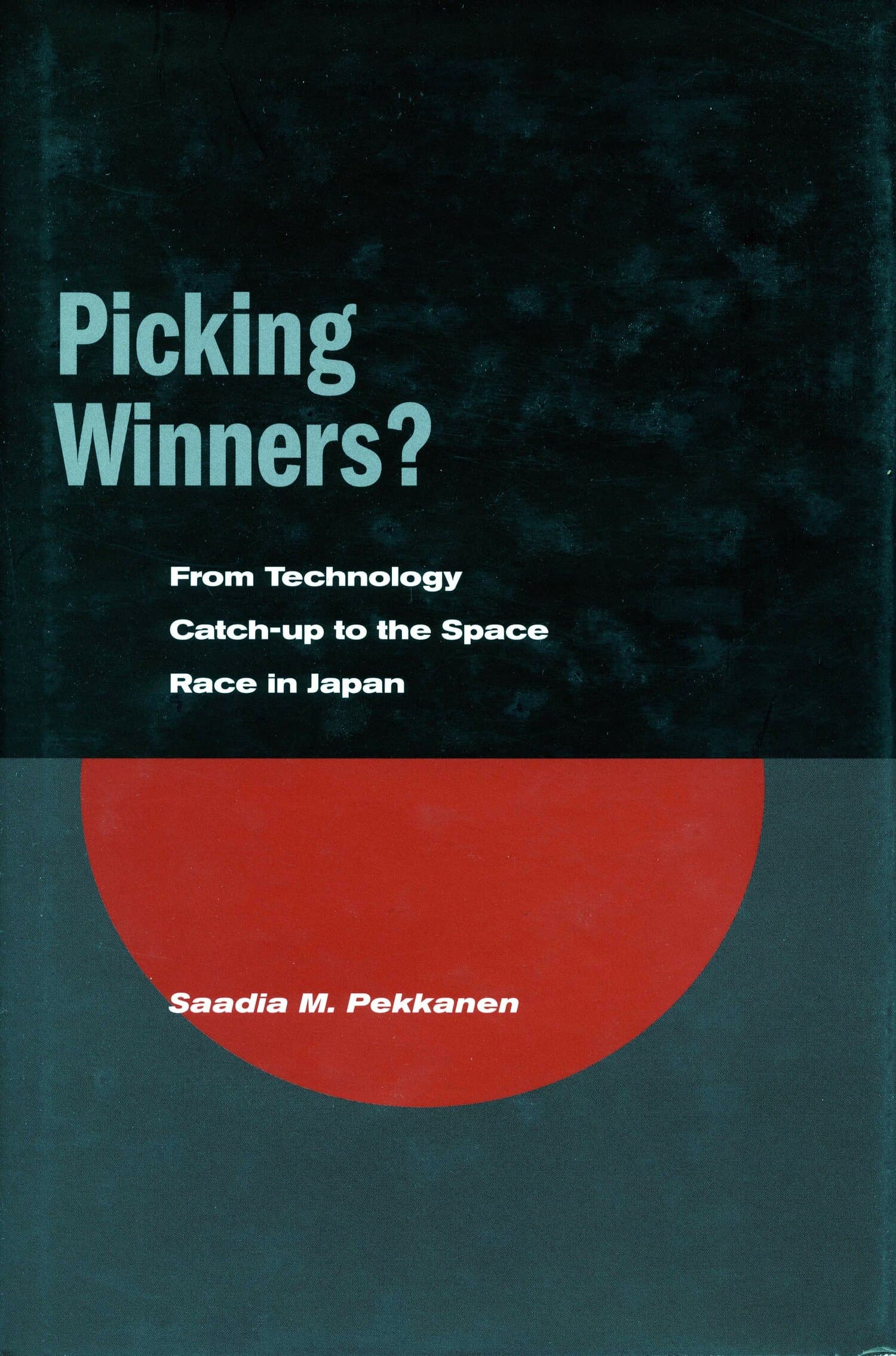 'Picking Winners?' Book Cover
