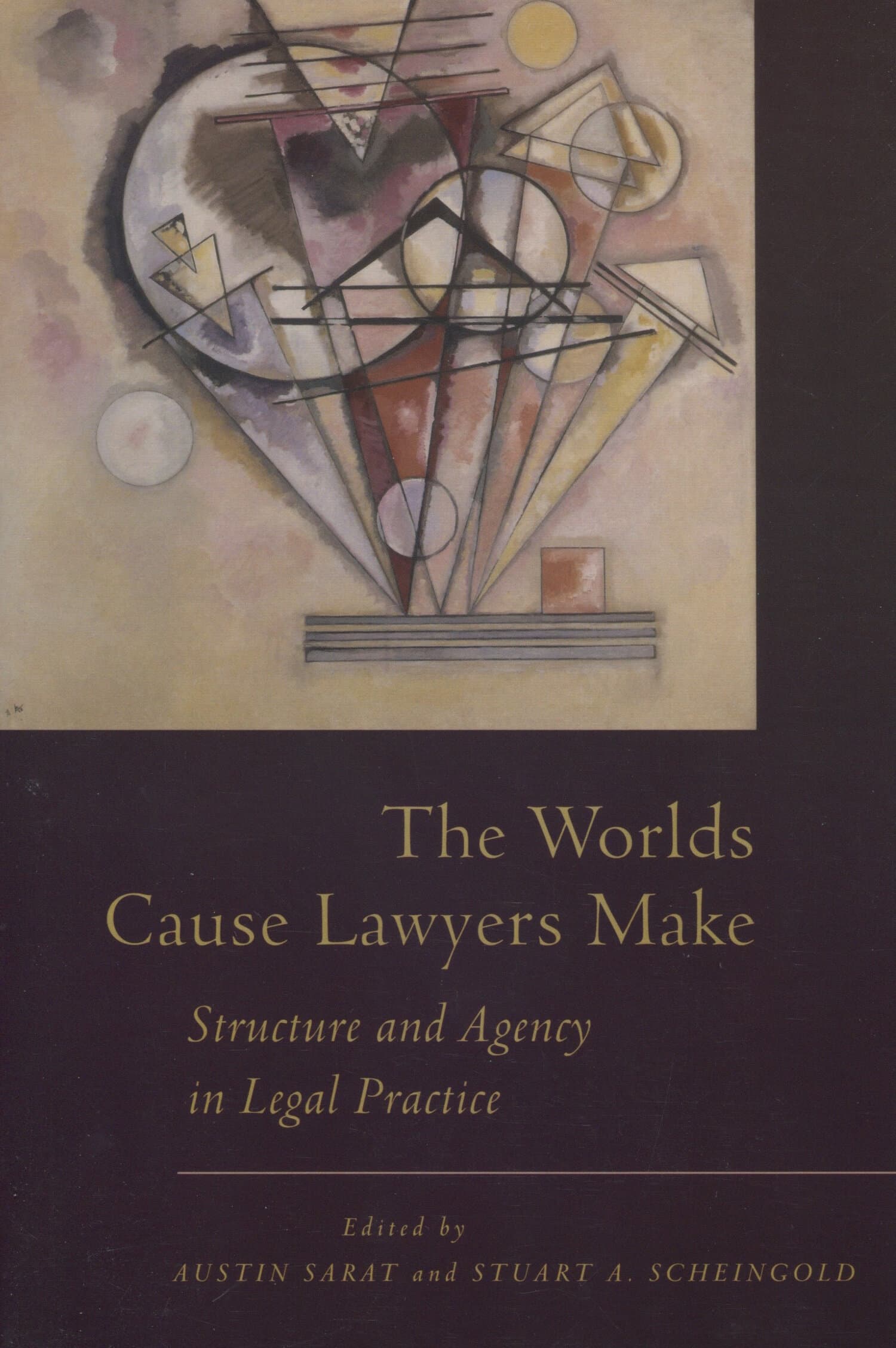 'The Worlds Cause Lawyers Make' Book Cover