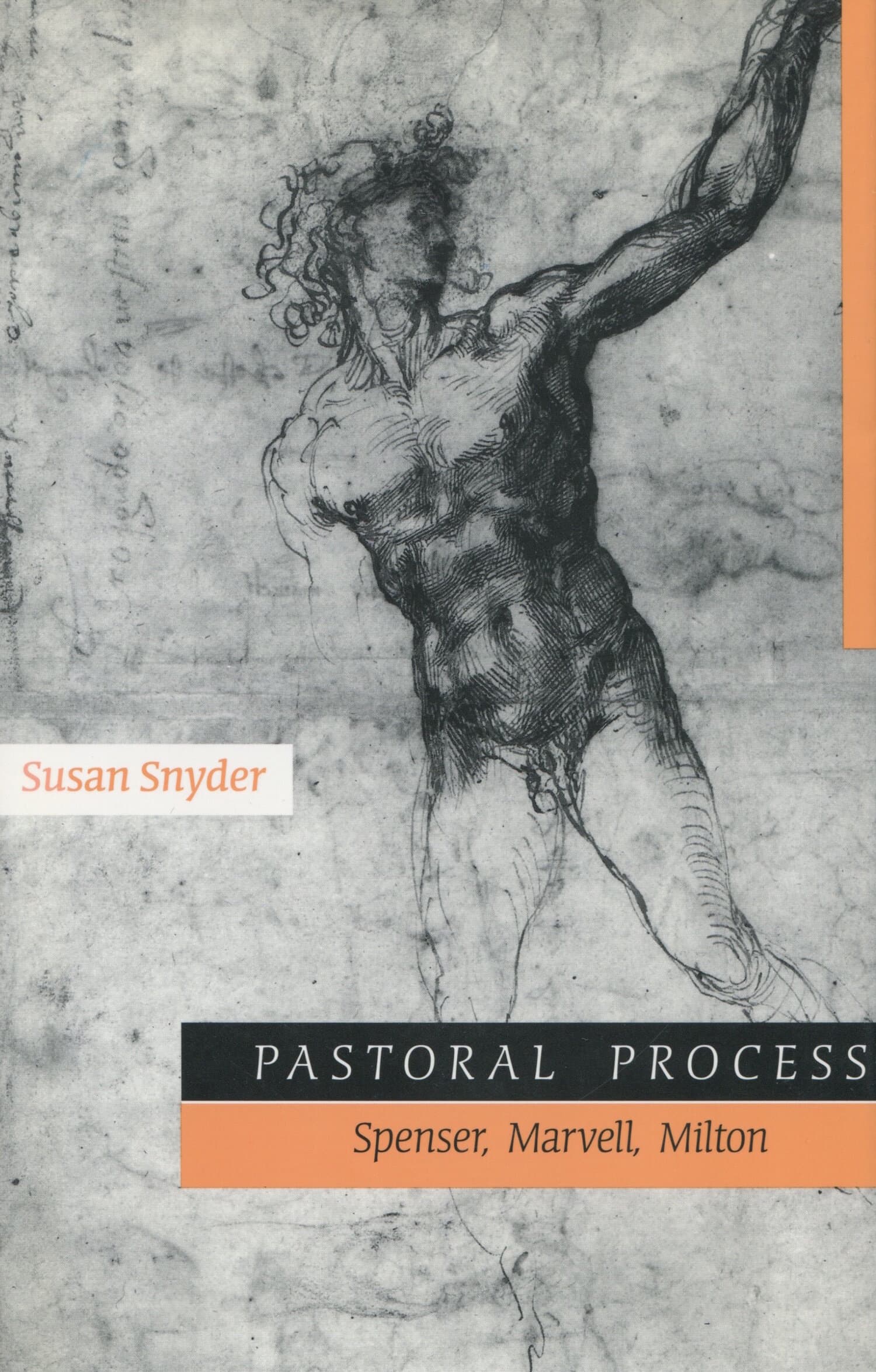 'Pastoral Process' Book Cover
