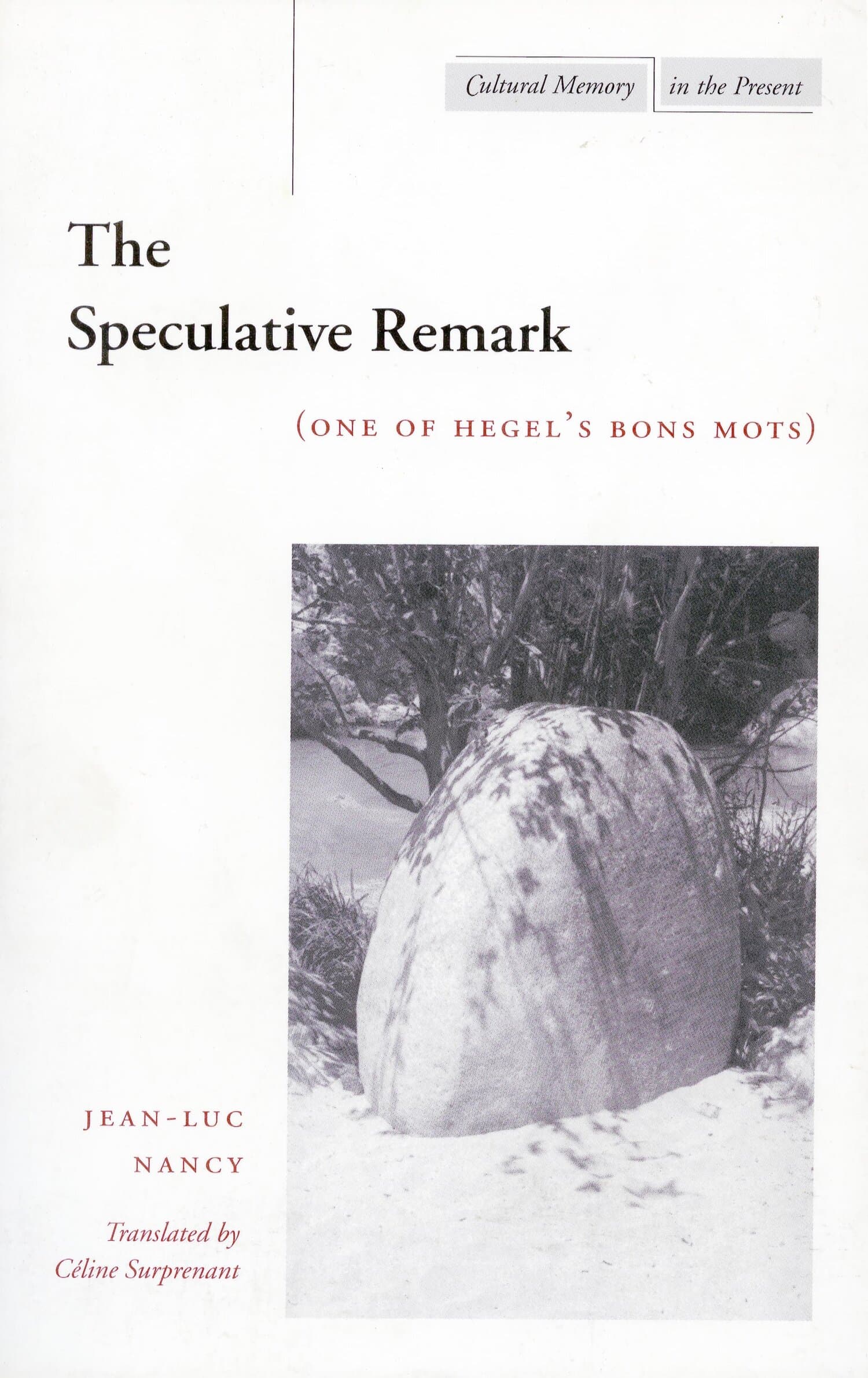'The Speculative Remark' Book Cover
