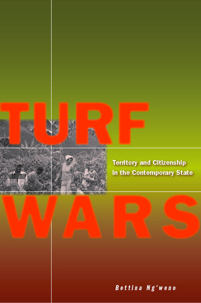 Cover of Turf Wars by Bettina Ng