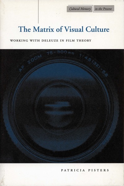 Cover of The Matrix of Visual Culture by Patricia Pisters