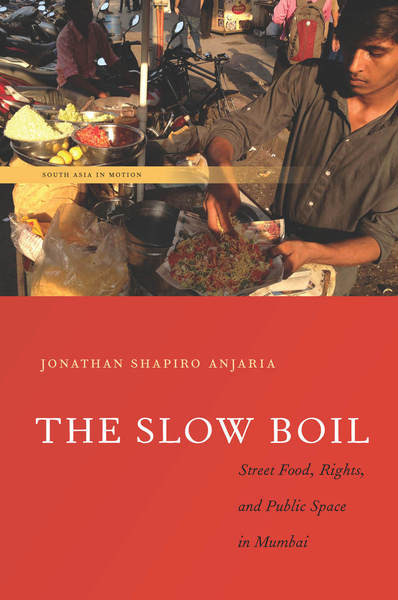Cover of The Slow Boil by Jonathan Shapiro Anjaria