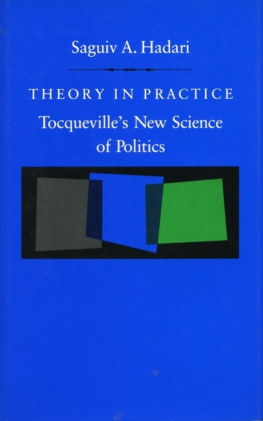 Cover of Theory in Practice by Saguiv A. Hadari