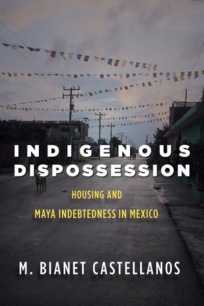 Cover of Indigenous Dispossession by M. Bianet Castellanos