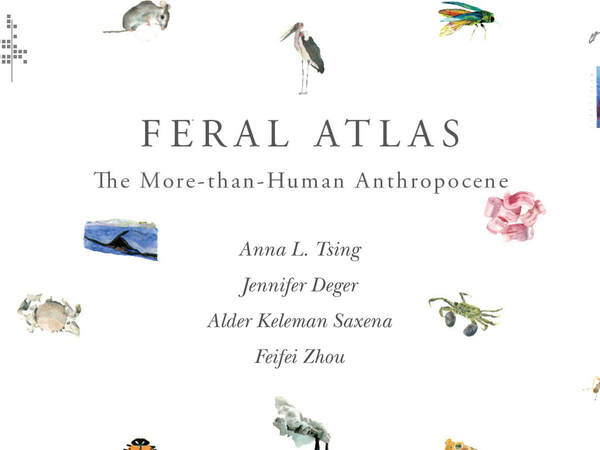 Cover of Feral Atlas by Edited by Anna L. Tsing, Jennifer Deger, Alder Saxena Keleman and Feifei Zhou