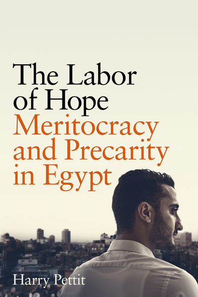 Cover of The Labor of Hope by Harry Pettit