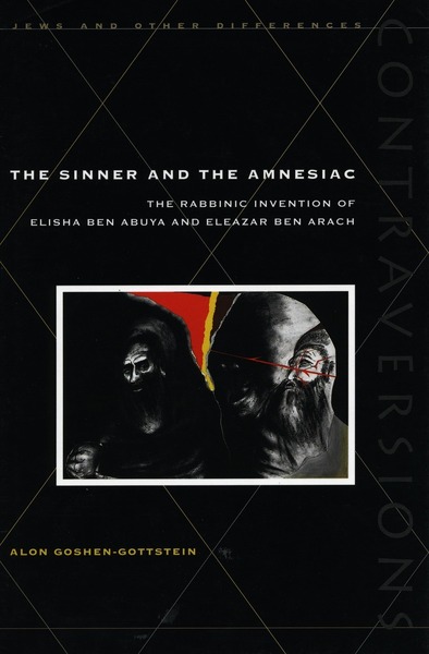 Cover of The Sinner and the Amnesiac by Alon Goshen-Gottstein