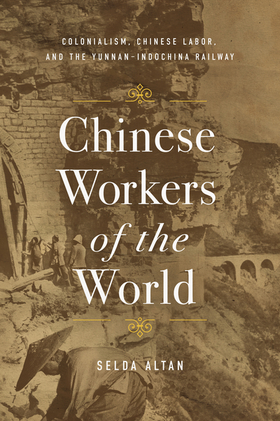Cover of Chinese Workers of the World by Selda Altan