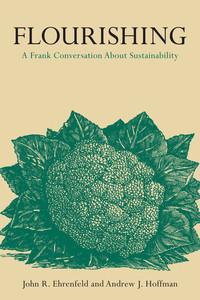 cover for Flourishing: A Frank Conversation About Sustainability | John R. Ehrenfeld and Andrew J. Hoffman