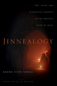 cover for Jinnealogy: Time, Islam, and Ecological Thought in the Medieval Ruins of Delhi | Anand Vivek Taneja 